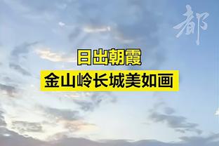 布特拉格诺：结果完全反映了场上情况 我们对居勒尔寄予厚望